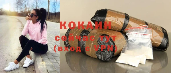 гидра Богданович