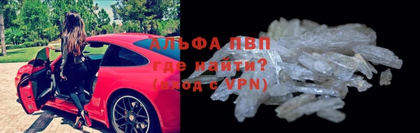 гидра Богданович