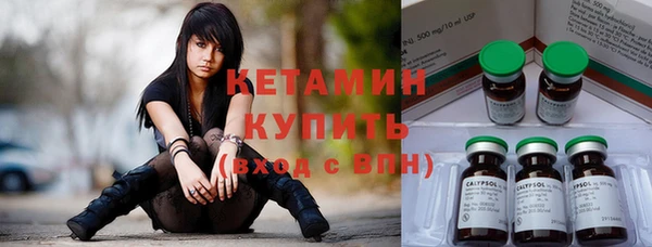 шишки Богородицк