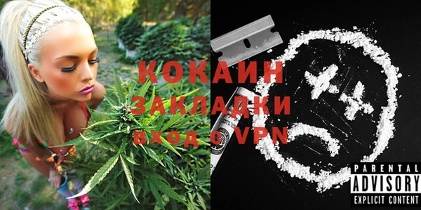 гидра Богданович