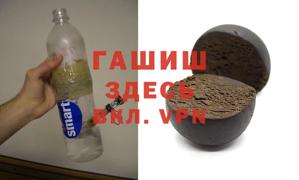 гидра Богданович