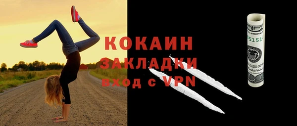 шишки Богородицк