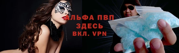 гидра Богданович