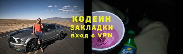 гидра Богданович