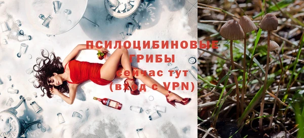 гидра Богданович