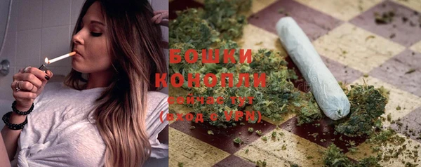 шишки Богородицк