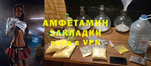 гидра Богданович