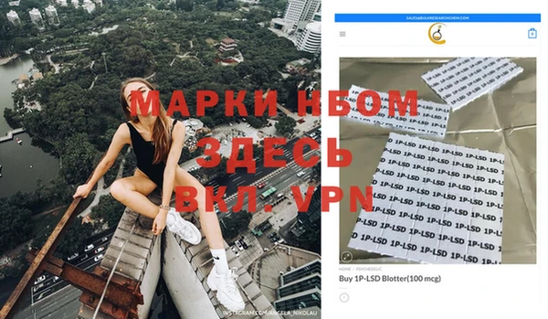 шишки Богородицк