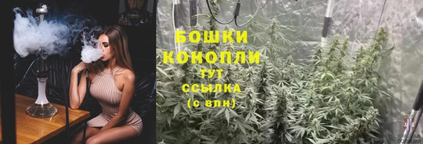гидра Богданович
