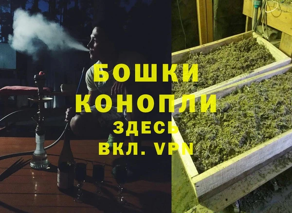 гидра Богданович